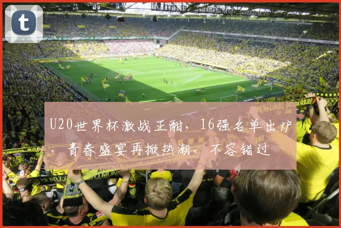 U20世界杯激战正酣，16强名单出炉，青春盛宴再掀热潮，不容错过