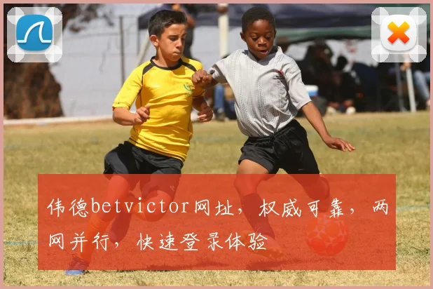 伟德betvictor网址，权威可靠，两网并行，快速登录体验