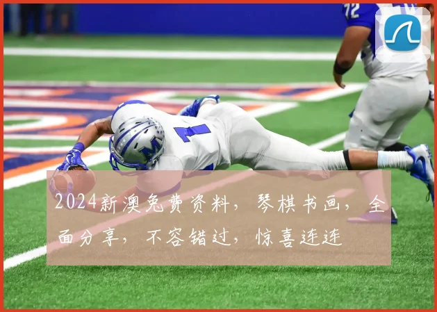 2024新澳兔费资料，琴棋书画，全面分享，不容错过，惊喜连连